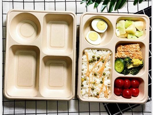 چهار جعبه ناهار یکبار مصرف بسته بندی ، جعبه ناهار یکبار مصرف زیست تخریب پذیر