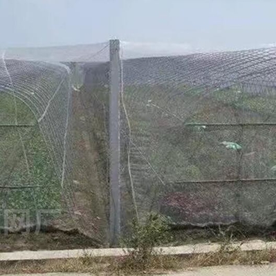 شبکه ضد پرنده پلاستیکی PE بزرگ شده گرده خانه شبکه پرورش کشاورزی شبکه ضد حشرات تاکستان