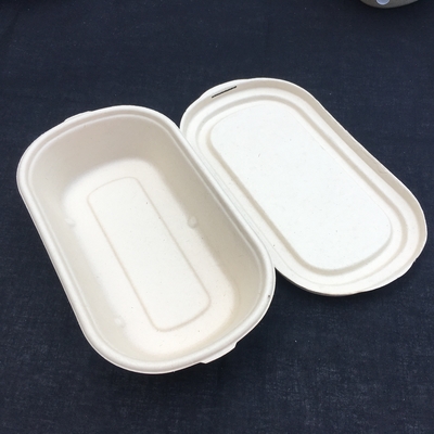 جعبه ناهار یکبار مصرف 100٪ سالاد نیشکر زیست تخریب پذیر با درب شفاف